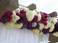 How to Choose Seasonal Climbing Plants | Landscaping Ideas and