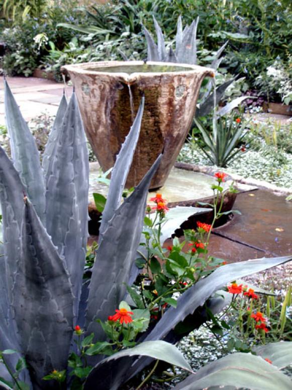 Ideas and Suggestions for Drought Tolerant Landscaping Ideas and Suggestions for Drought Tolerant Landscaping
