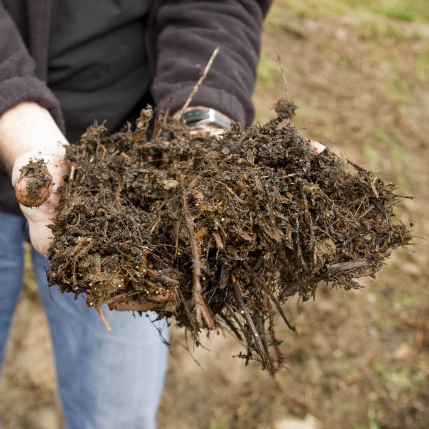 Composting Problems And How To Solve Them Composting Problems And How To Solve Them
