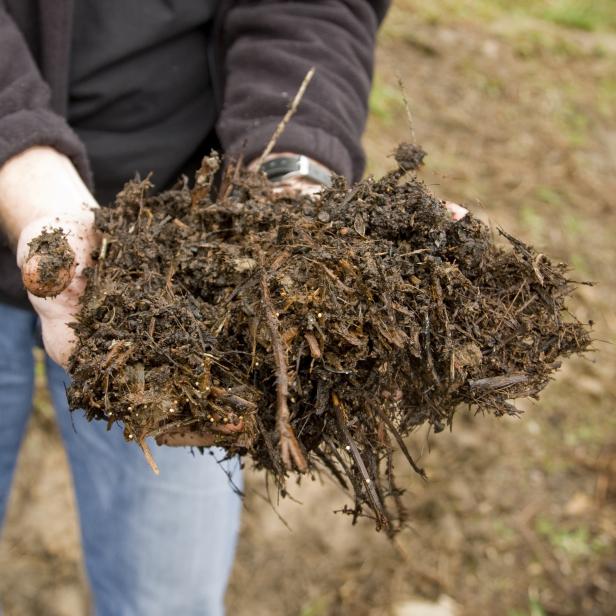 Homemade compost is a valuable gardening resource.