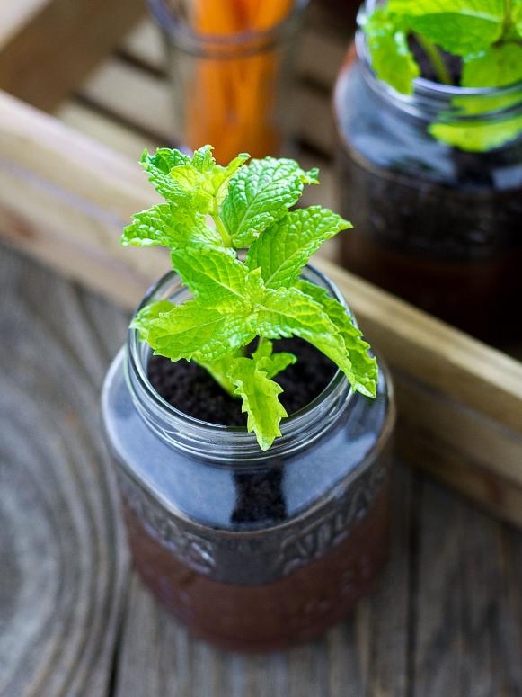 mint chocolate pudding mint chocolate pudding