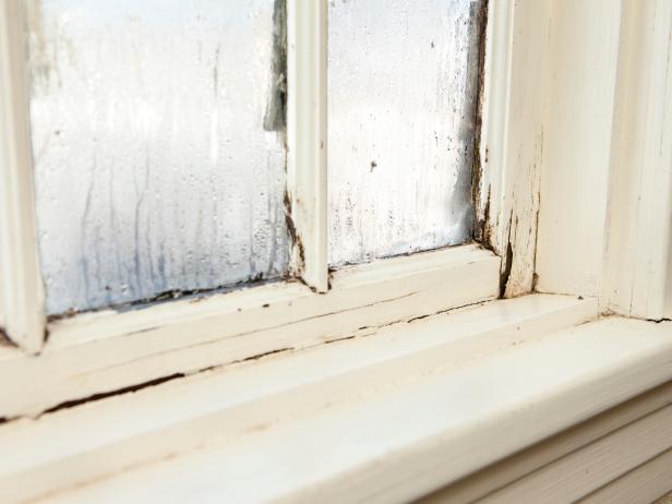 Choosing the Right Windows