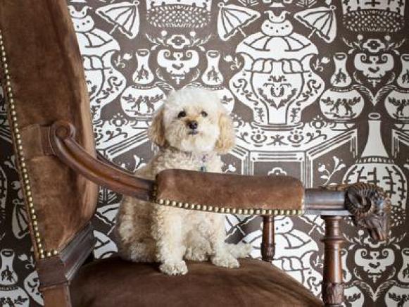 Traditional Style Office Chair of Dark wood and Brown Velvet