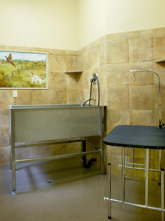 CI-Alan-Mascord-dog-washing-station-mudroom_s3x4 CI-Alan-Mascord-dog-washing-station-mudroom_s3x4