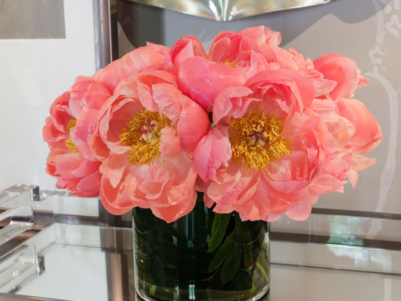 Peony Meaning Diy