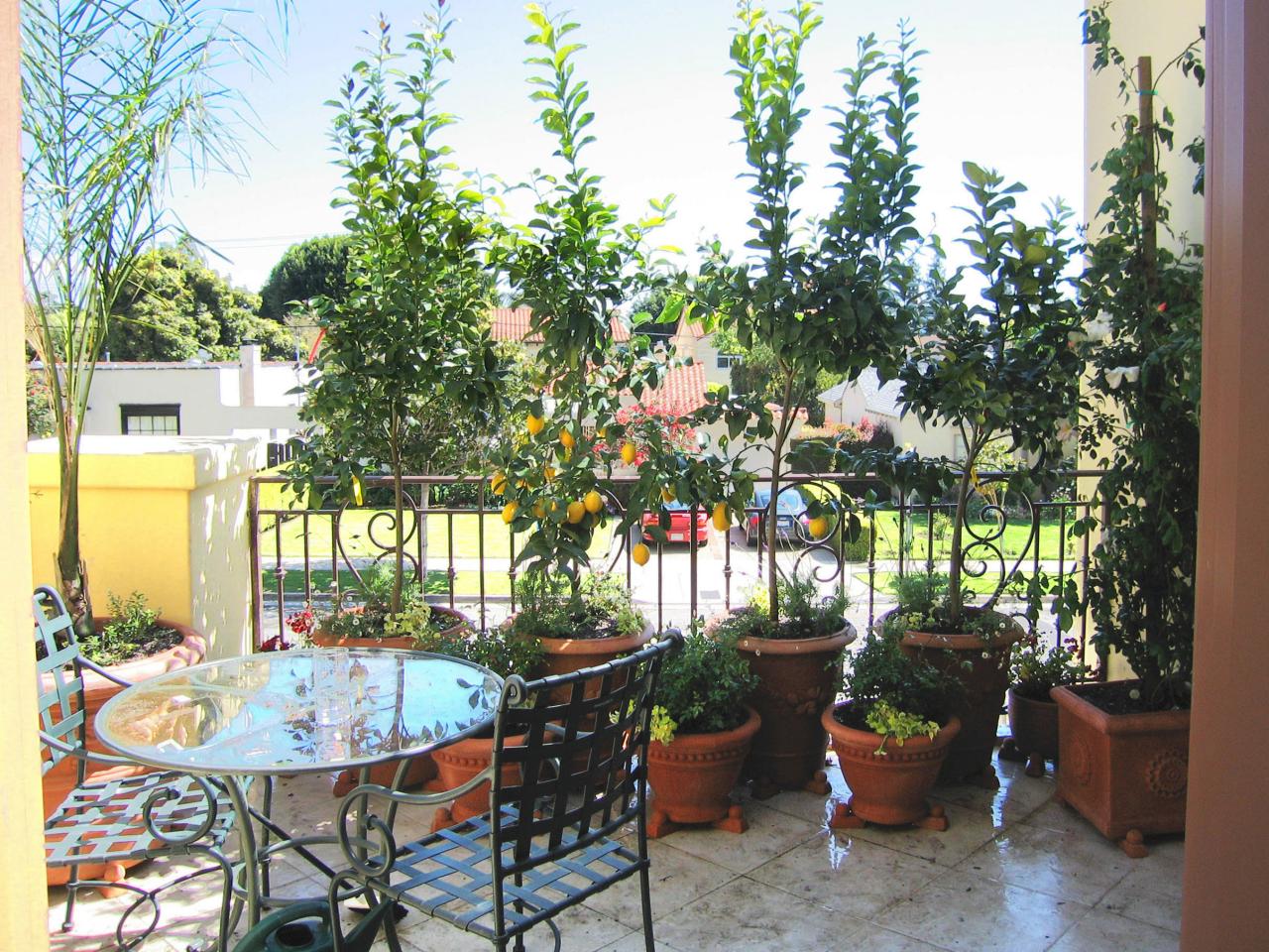 patio patios decorating hgtv living trees balcony into plants tree outdoor pots decks potted citrus landscape idea planters oasis simple