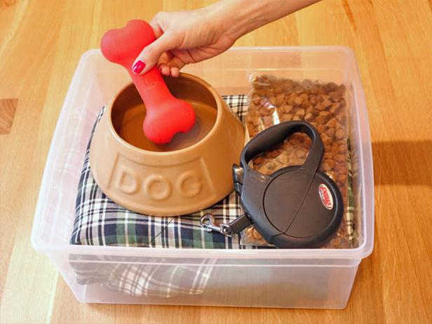 Plastic Box Full of Pet Essentials