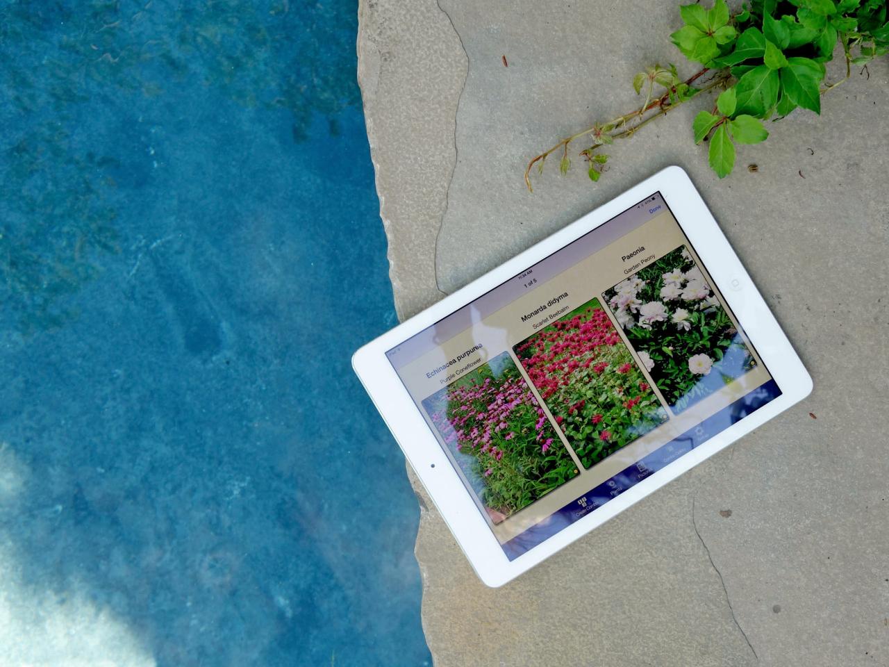 The Best Gardening Apps  Products  HGTV