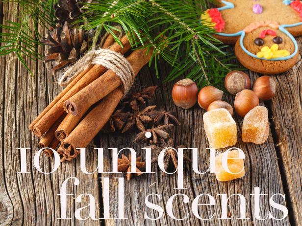 Fall and Christmas Scents Fall and Christmas Scents