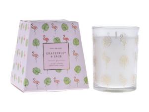 DW Home Grapefruit Candle DW Home Grapefruit Candle