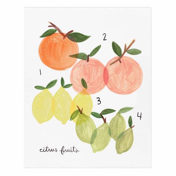 Citrus Print Citrus Print