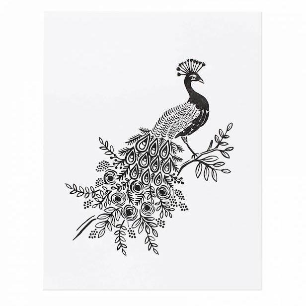 Peacock Print Peacock Print