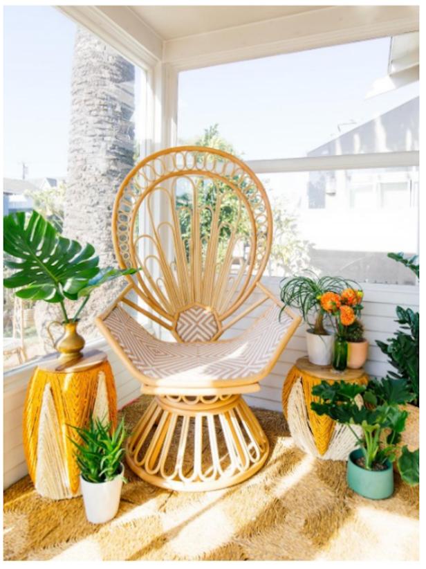Peacock Chair Peacock Chair