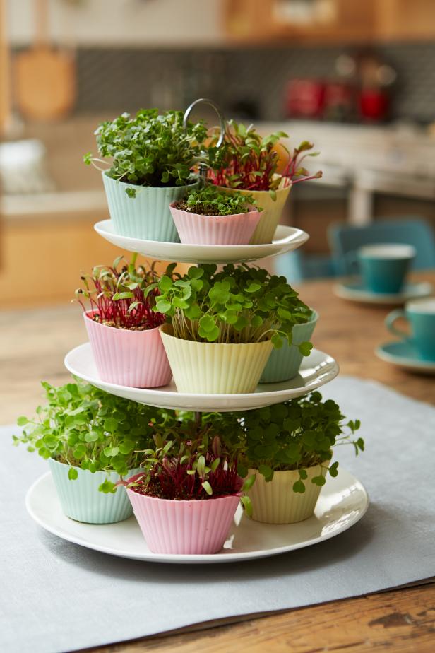 Microgreen Cupcake Stand Planter Microgreen Cupcake Stand Planter