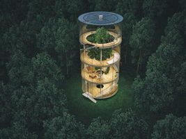 Now THIS Is a Treehouse