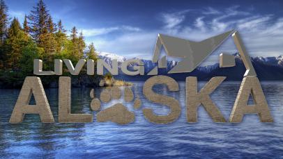 alaska living hgtv shows bargain hunt lakefront sky big tv homes ranked gac might also