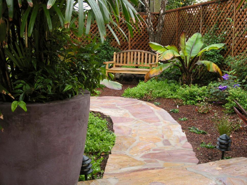 Garden Bench in Tropical Backyard