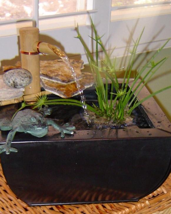 pondpot_indoor pondpot_indoor