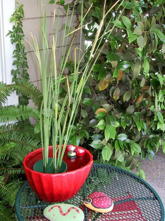 pondpot_outdoor pondpot_outdoor
