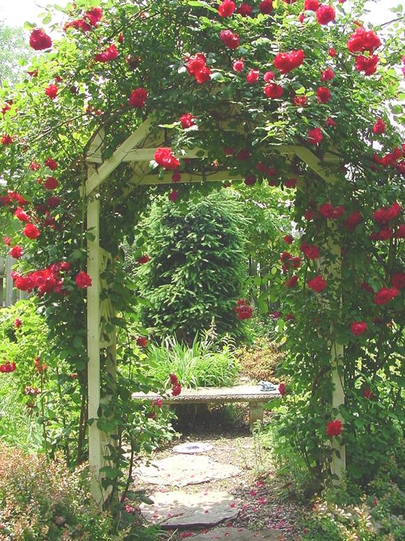 path_rosearbor path_rosearbor