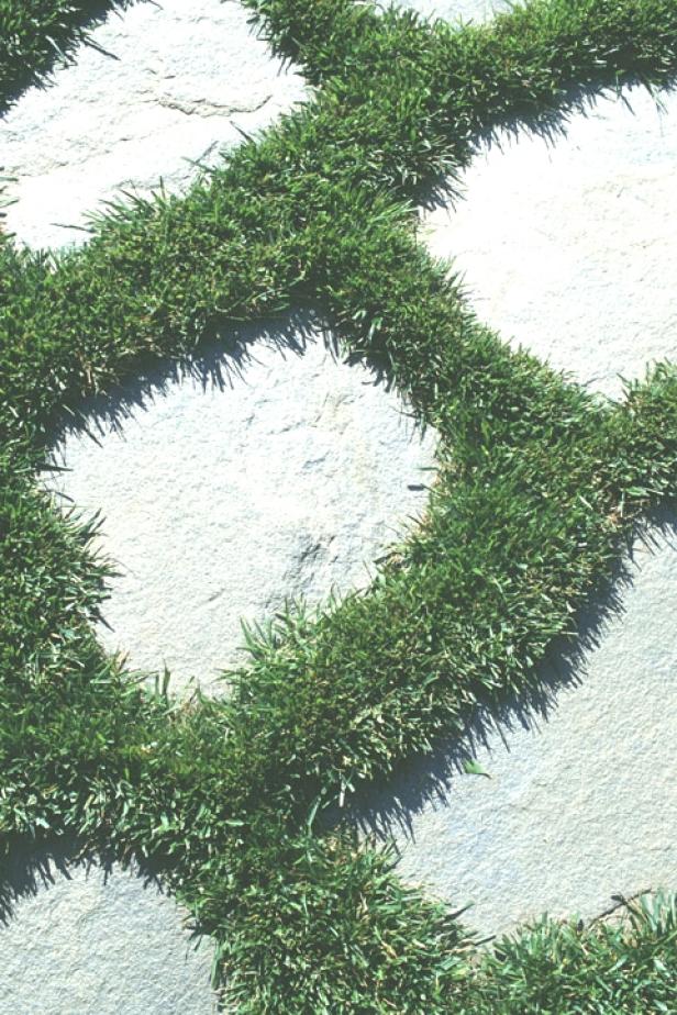 path_stones_grass path_stones_grass