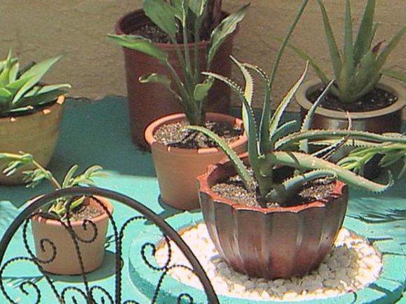 dod910_plants dod910_plants
