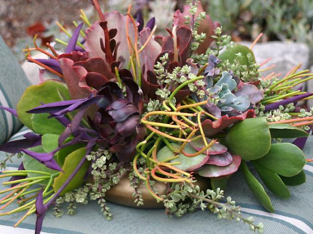 succulent_completed_goldbowl succulent_completed_goldbowl