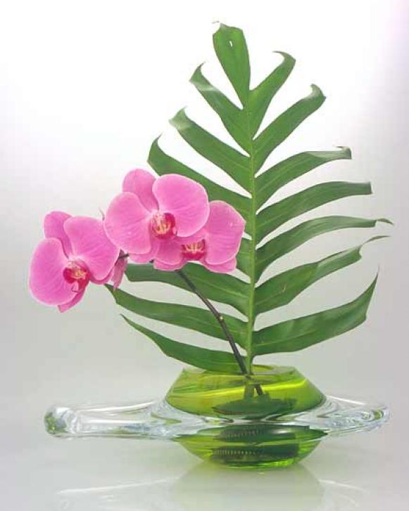 march06decnews_flowerpower_ikebana_V march06decnews_flowerpower_ikebana_V