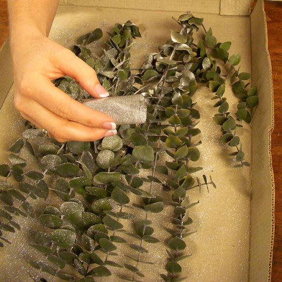 Adding_Glitter_to_Eucalyptis Adding_Glitter_to_Eucalyptis