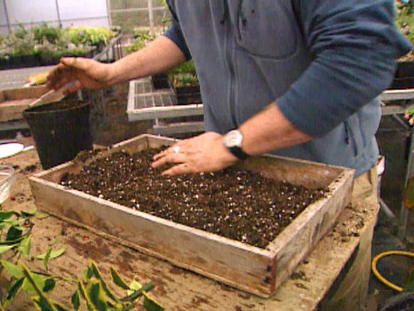 gby1407_seg3_plantingseed gby1407_seg3_plantingseed