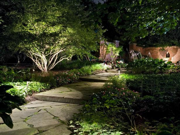 Garden Path with Lights