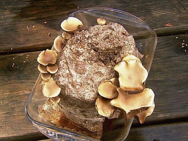 Grow Your Own Mushrooms | HGTV