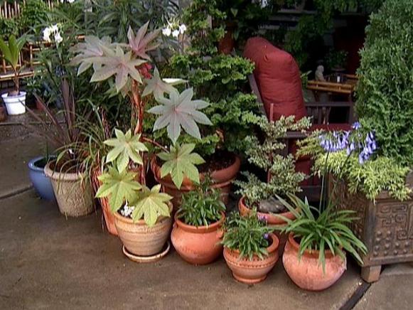 Outdoor Space with Container Garden Outdoor Space with Container Garden