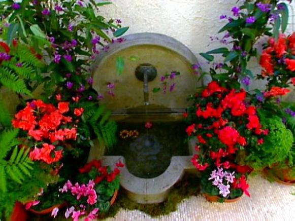 Outdoor Space with Flowers and a Container Fountain Outdoor Space with Flowers and a Container Fountain