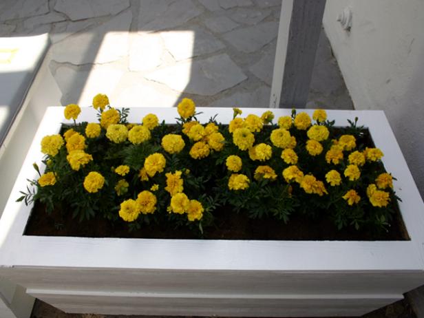 DOD2503-planter_box-12 DOD2503-planter_box-12