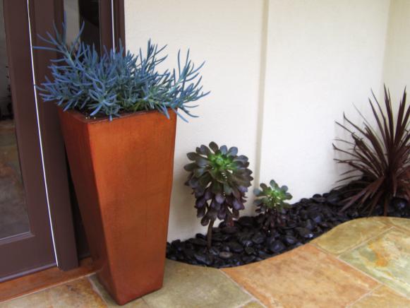 Succulents and Stones Succulents and Stones