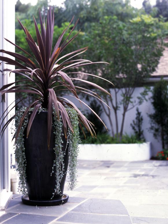 Accent Outdoor Spaces with Planters Accent Outdoor Spaces with Planters