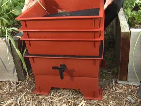 gby1811-4_4b-worm-bins_s4x3 gby1811-4_4b-worm-bins_s4x3