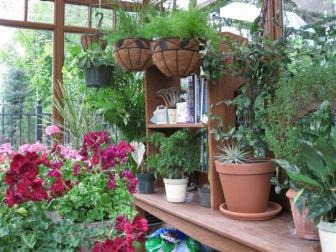 Greenhouse with Container Garden