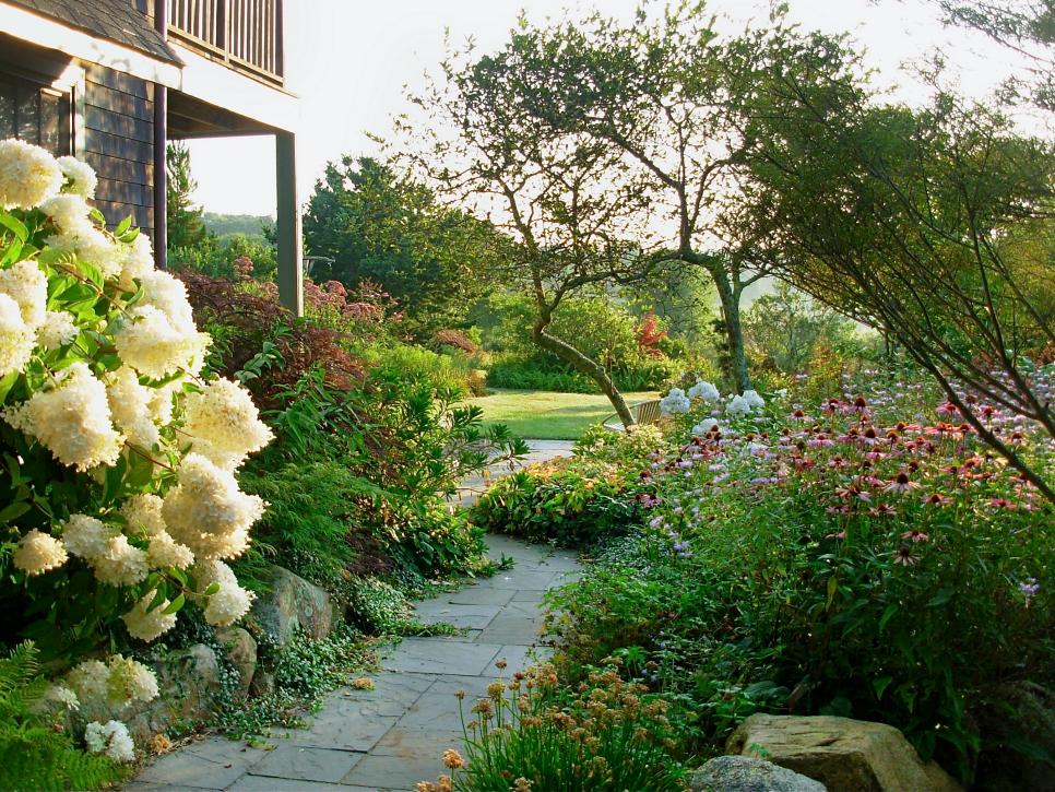 Garden Path With Flowers