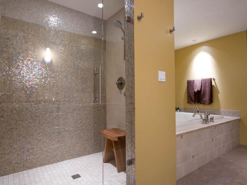 Master Bathroom Shower and Bathtub