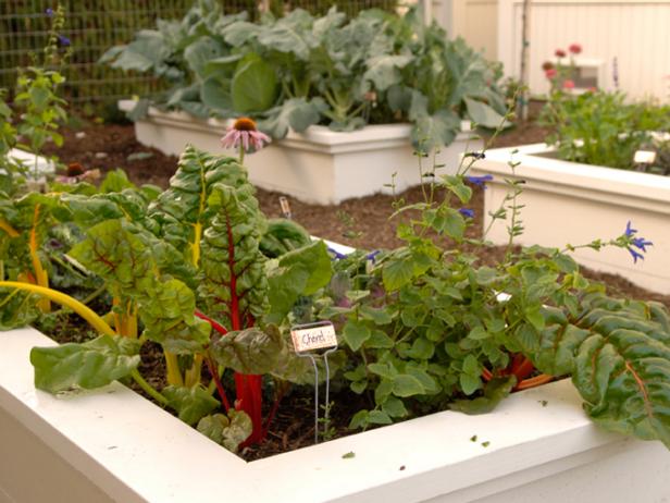 dh09-garden-bin_s4x3 dh09-garden-bin_s4x3