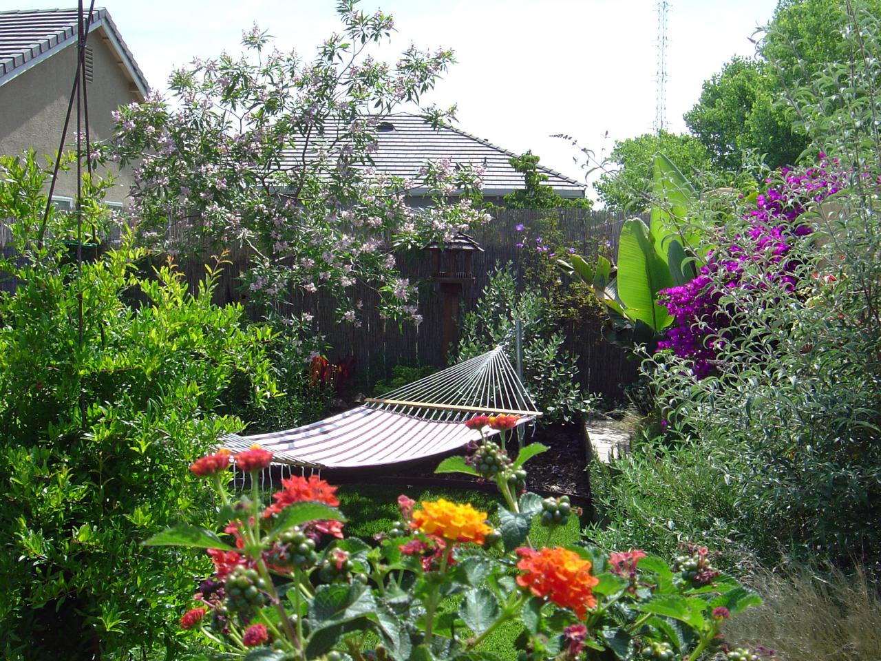 Peaceful Garden Retreats | Landscaping Ideas and Hardscape ...