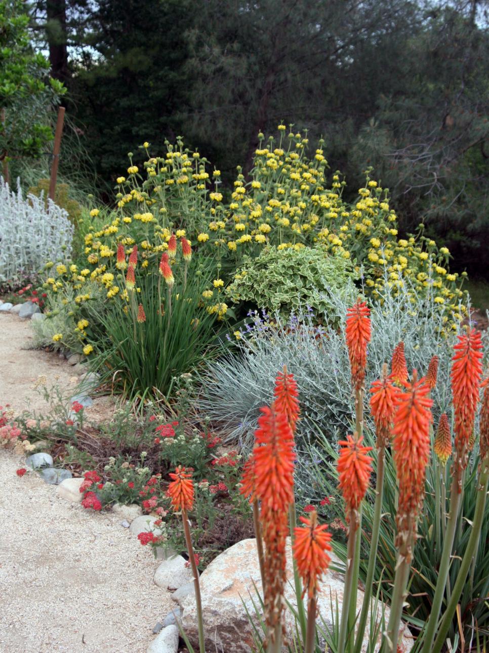 Southwestern Red and Yellow Garden