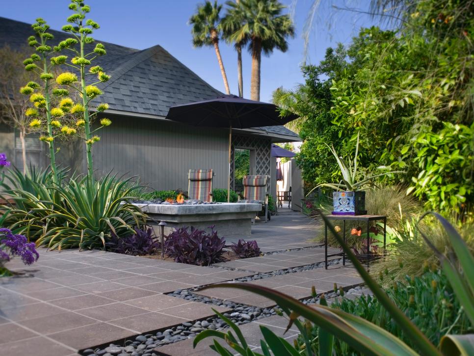 Contemporary Outdoor Area With Palm Trees and Yucca