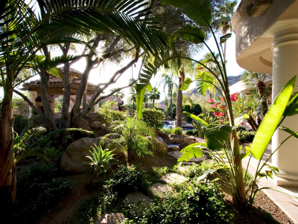 Tropical Landscaping With Lush Vegetation