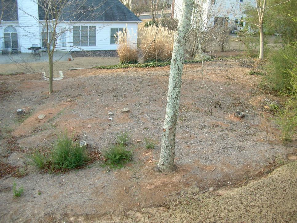 Before & After Big Backyard Makeovers HGTV