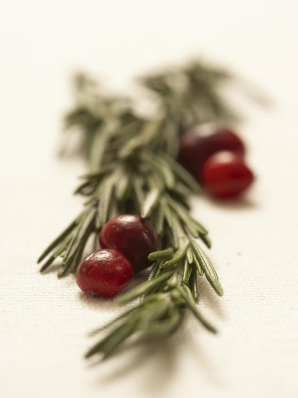 Red Berries Signal Holidays Red Berries Signal Holidays