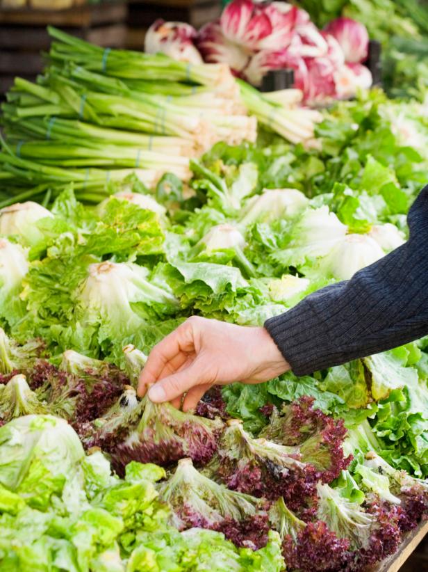 Organic Lettuce Organic Lettuce