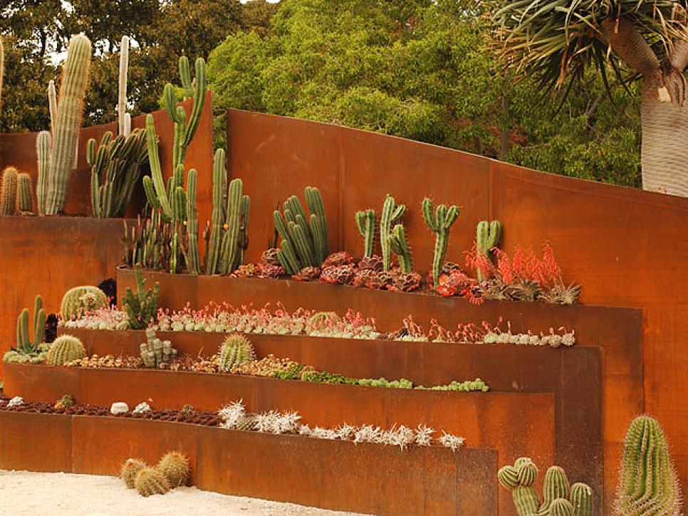 Outdoor Cacti Garden